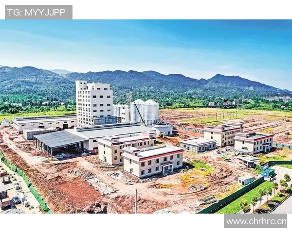 以前锋为中心,探讨现代企业如何通过创新与技术实现突破性发展 以前锋为中心,探讨现代企业如何通过创新与技术实现突破性发展